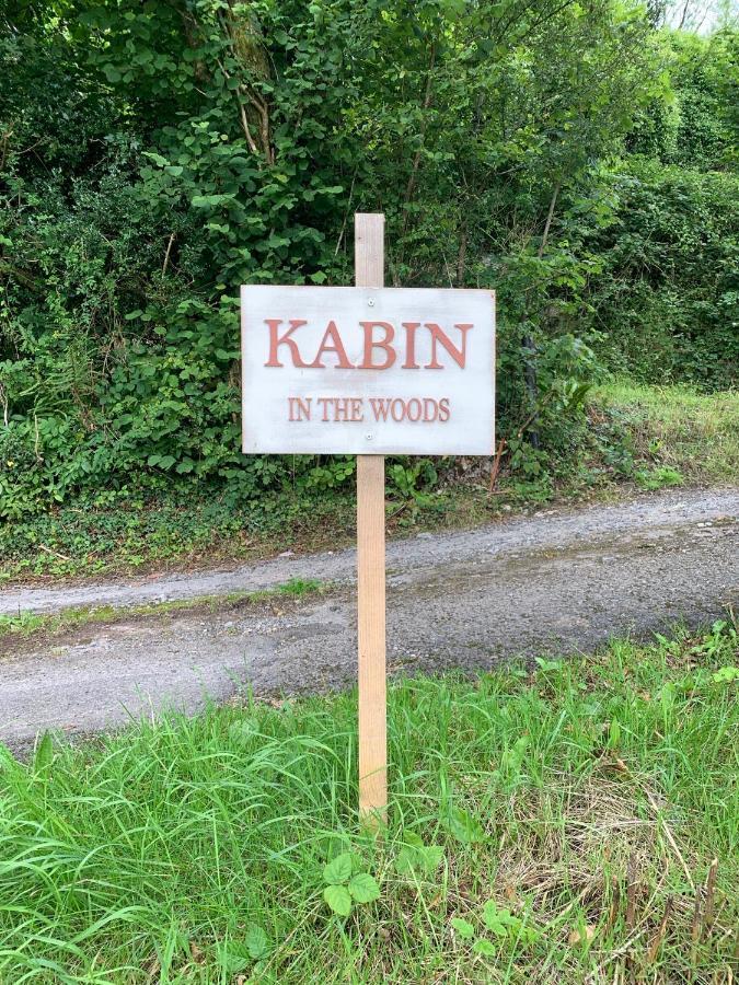Kabin In The Woods Llandybie Екстер'єр фото