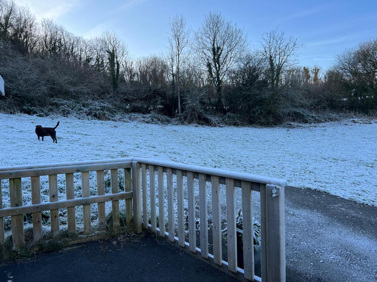 Kabin In The Woods Llandybie Екстер'єр фото