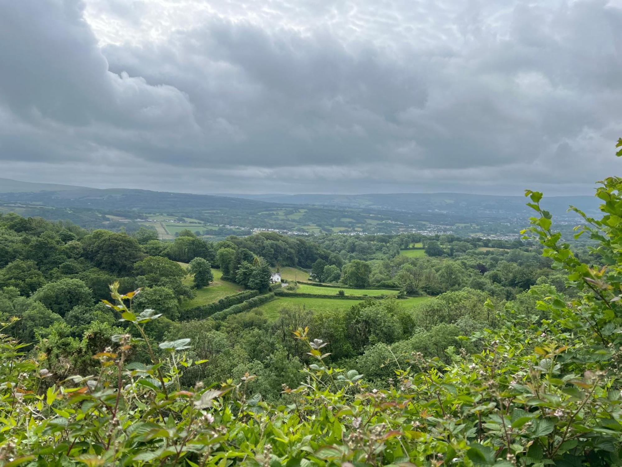 Kabin In The Woods Llandybie Екстер'єр фото